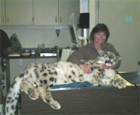 Tomie with Snow Leopard