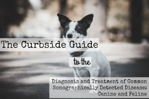 curbside guide image